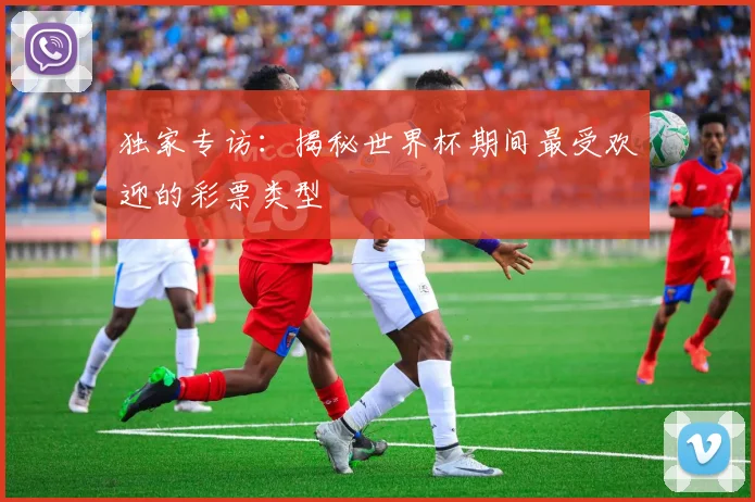 独家专访：揭秘世界杯期间最受欢迎的彩票类型