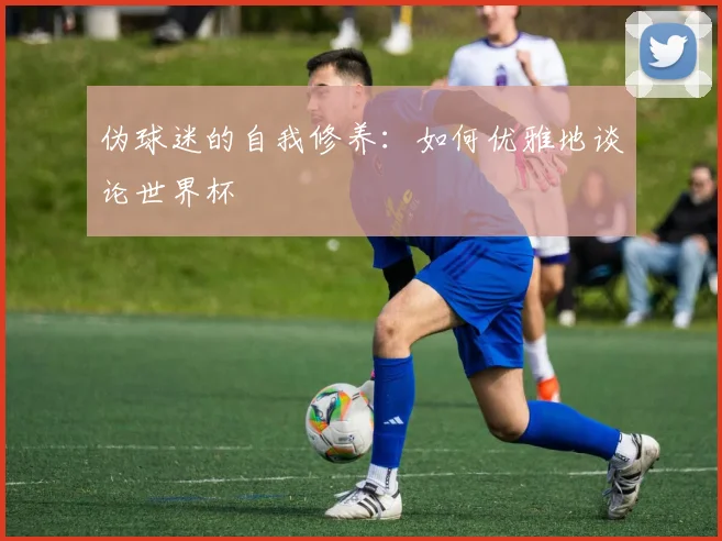 伪球迷的自我修养：如何优雅地谈论世界杯