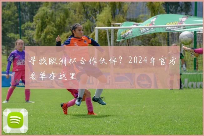 寻找欧洲杯合作伙伴？2024年官方名单在这里