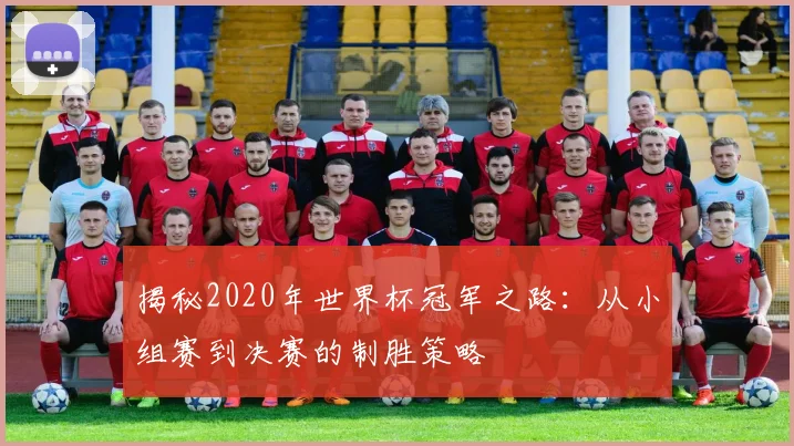 揭秘2020年世界杯冠军之路：从小组赛到决赛的制胜策略