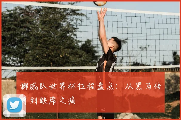 挪威队世界杯征程盘点：从黑马传奇到缺席之痛