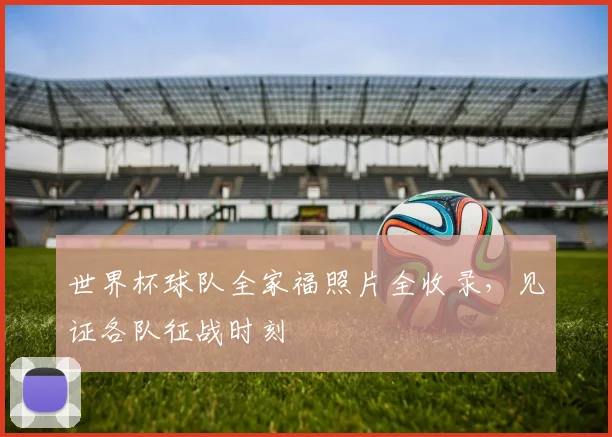 世界杯球队全家福照片全收录,见证各队征战时刻