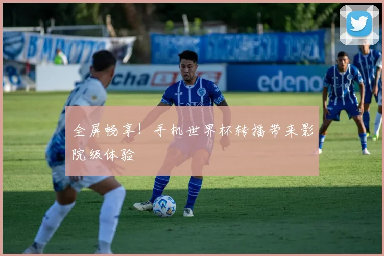 全屏畅享！手机世界杯转播带来影院级体验
