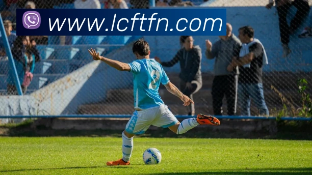 熊猫体育中国官方网站平台生态图